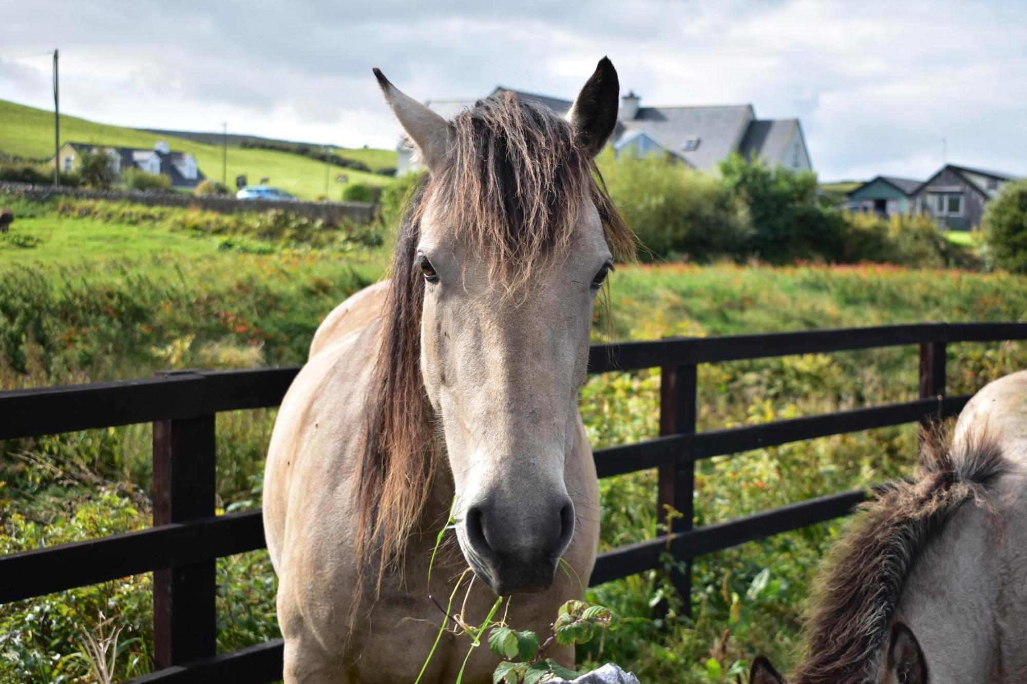 Doolin Glamping Hotel ภายนอก รูปภาพ